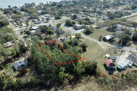 Land in Howey-in-the-Hills, Florida № 2098594 - photo 10