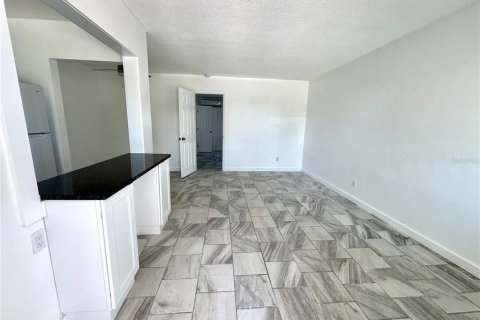 Studio in Treasure Island, Florida № 1659003 - photo 18