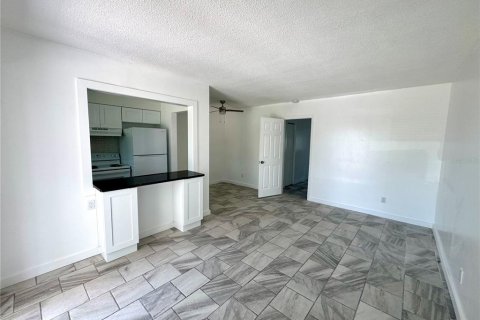 Studio in Treasure Island, Florida № 1659003 - photo 19