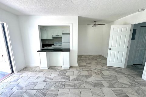 Studio in Treasure Island, Florida № 1659003 - photo 20