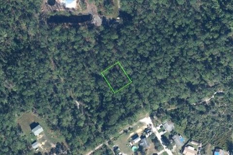 Land in Sebring, Florida № 2379054 - photo 2