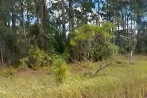 Land in Lake Placid, Florida № 2159046 - photo 6