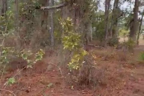 Land in Lake Placid, Florida № 2159046 - photo 8