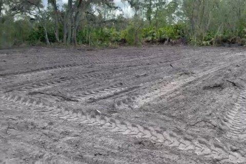 Land in Lake Placid, Florida № 2159046 - photo 3