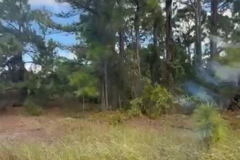 Land in Lake Placid, Florida № 2159046 - photo 5