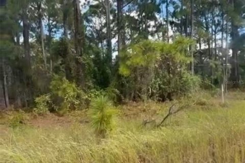 Land in Lake Placid, Florida № 2159046