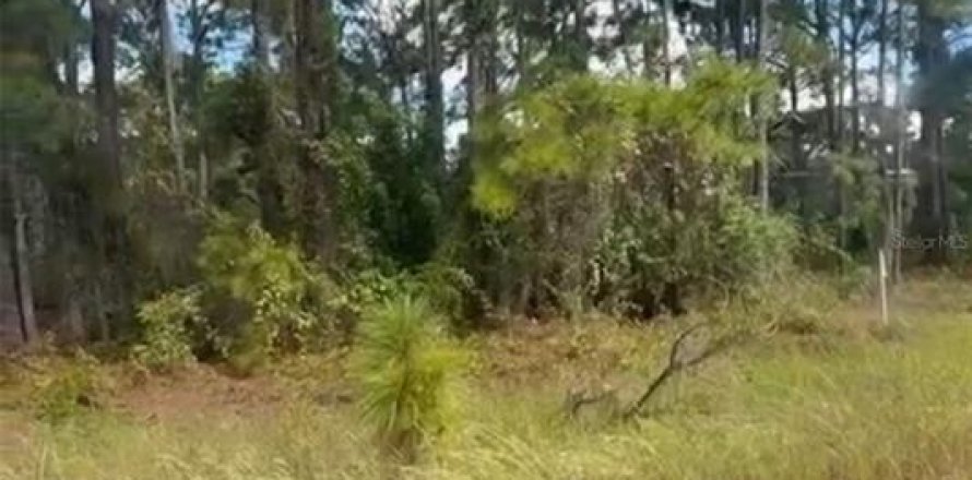Land in Lake Placid, Florida № 2159046