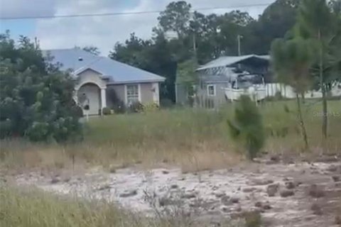 Land in Lake Placid, Florida № 2159046 - photo 9