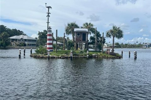 Land in Homosassa, Florida № 2092283 - photo 4