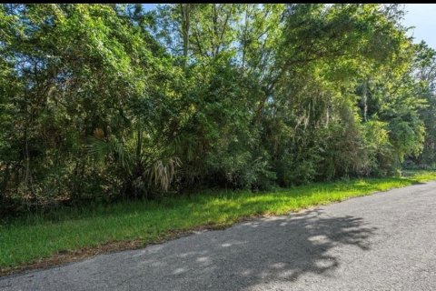 Land in Homosassa, Florida № 2092283 - photo 2