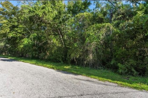Land in Homosassa, Florida № 2092283 - photo 3