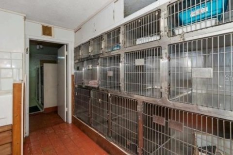 Commercial property in Largo, Florida 532.33 sq.m. № 2377923 - photo 12