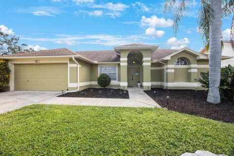 Villa ou maison à vendre à Palm Harbor, Floride: 4 chambres, 192.21 m2 № 1900002 - photo 1