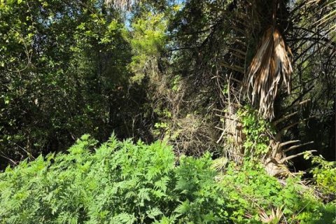 Land in Orange City, Florida № 2159322 - photo 5