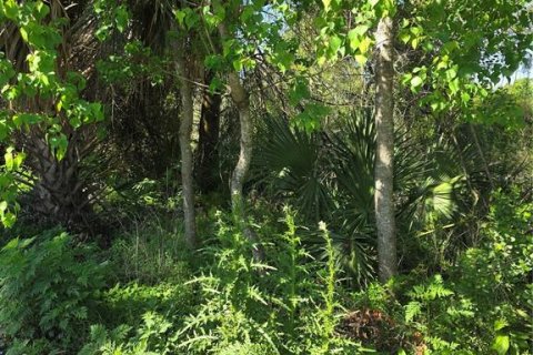 Land in Orange City, Florida № 2159322