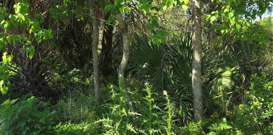 Land in Orange City, Florida № 2159322