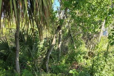 Land in Orange City, Florida № 2159322 - photo 4