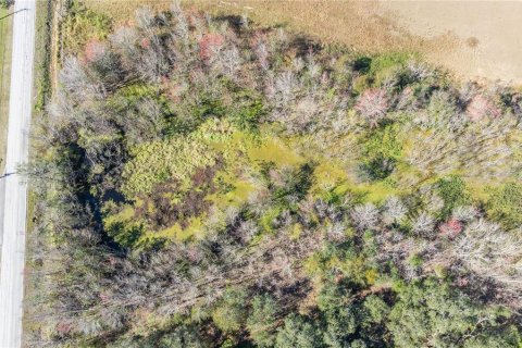 Terreno en venta en Dover, Florida № 1507753 - foto 8