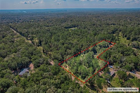 Land in Bronson, Florida № 1852889 - photo 1