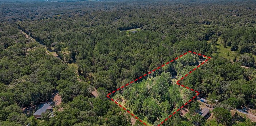 Land in Bronson, Florida № 1852889