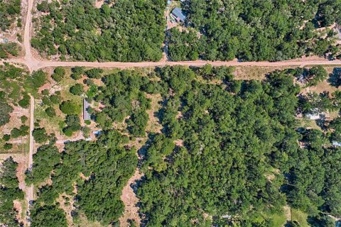 Land in Bronson, Florida № 1852889 - photo 6
