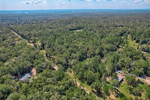Land in Bronson, Florida № 1852889 - photo 5