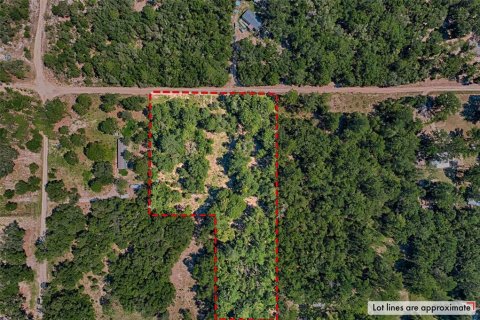 Land in Bronson, Florida № 1852889 - photo 2