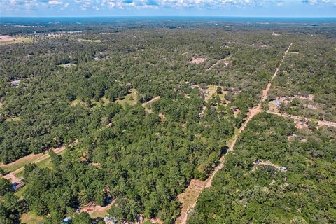 Land in Bronson, Florida № 1852889 - photo 3