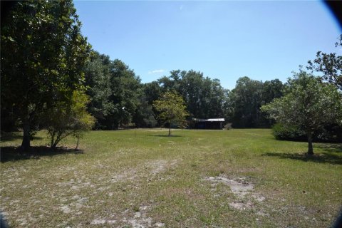 House in Longwood, Florida 4 bedrooms, 248.05 sq.m. № 1204838 - photo 5