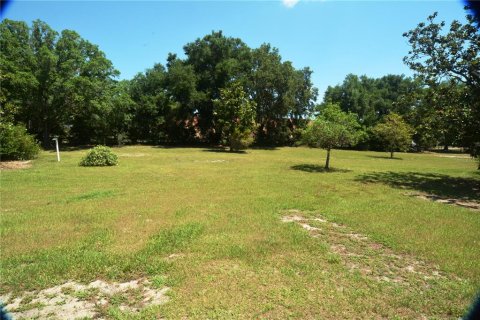House in Longwood, Florida 4 bedrooms, 248.05 sq.m. № 1204838 - photo 4
