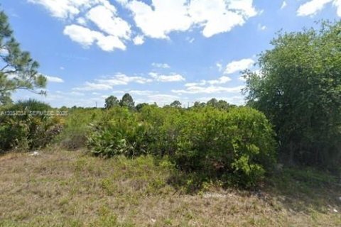 Land in Lehigh Acres, Florida № 2180097 - photo 4