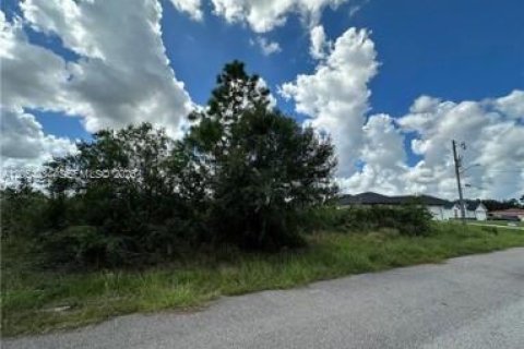 Land in Lehigh Acres, Florida № 2180097 - photo 3