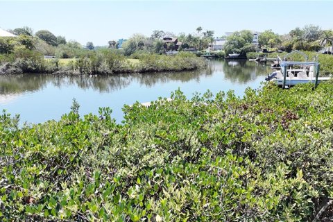 Terreno en venta en Palm Harbor, Florida № 2092995 - foto 15