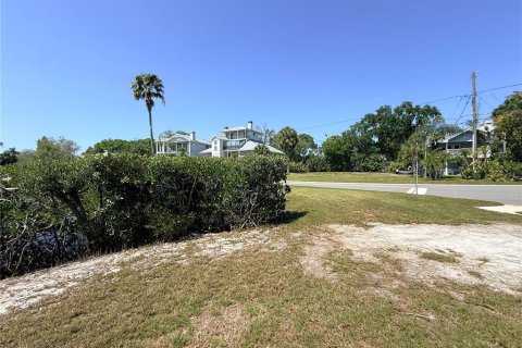 Terreno en venta en Palm Harbor, Florida № 2092995 - foto 13