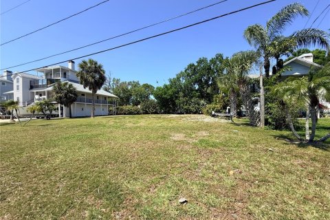 Terreno en venta en Palm Harbor, Florida № 2092995 - foto 8
