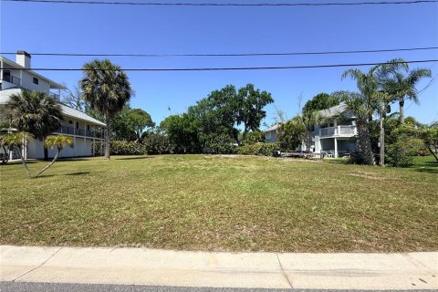 Terreno en venta en Palm Harbor, Florida № 2092995 - foto 7