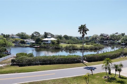 Terreno en Palm Harbor, Florida № 2092995
