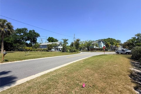Terreno en venta en Palm Harbor, Florida № 2092995 - foto 17