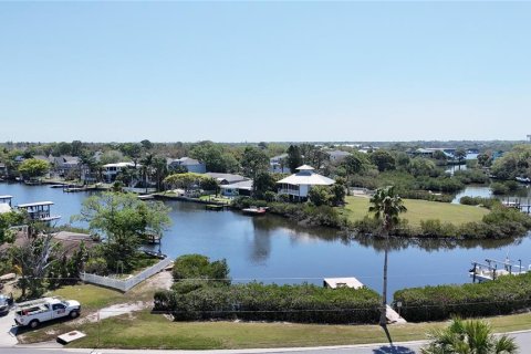 Terreno en venta en Palm Harbor, Florida № 2092995 - foto 6