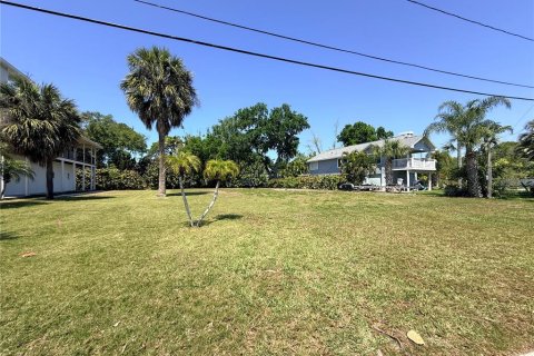 Terreno en venta en Palm Harbor, Florida № 2092995 - foto 9