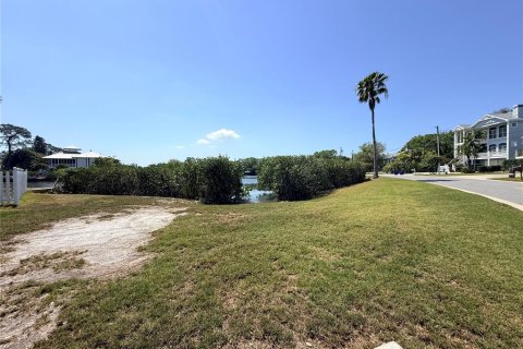 Terreno en venta en Palm Harbor, Florida № 2092995 - foto 12