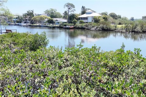 Terreno en venta en Palm Harbor, Florida № 2092995 - foto 14