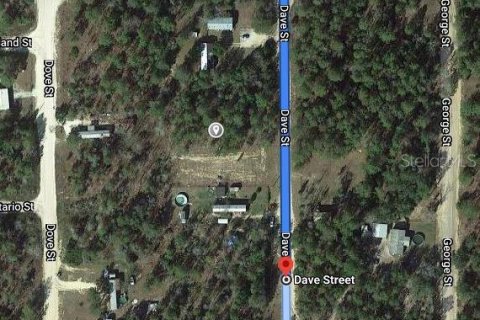 Land in Interlachen, Florida № 2223859 - photo 2