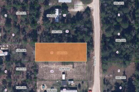 Land in Interlachen, Florida № 2223859