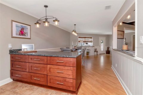 House in Tampa, Florida 3 bedrooms, 257.43 sq.m. № 2092486 - photo 17