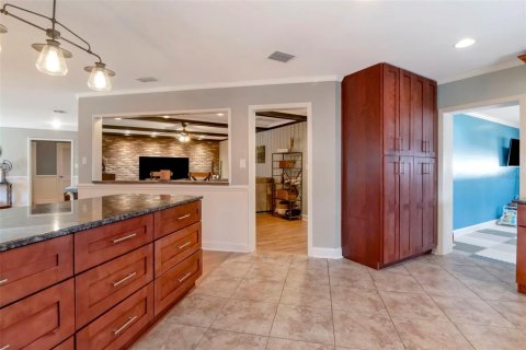 House in Tampa, Florida 3 bedrooms, 257.43 sq.m. № 2092486 - photo 19