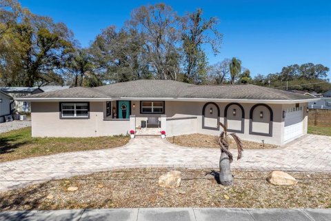 House in Tampa, Florida 3 bedrooms, 257.43 sq.m. № 2092486