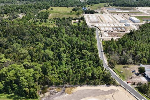 Land in Davenport, Florida № 2390986 - photo 14
