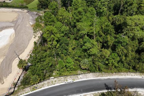 Land in Davenport, Florida № 2390986 - photo 12
