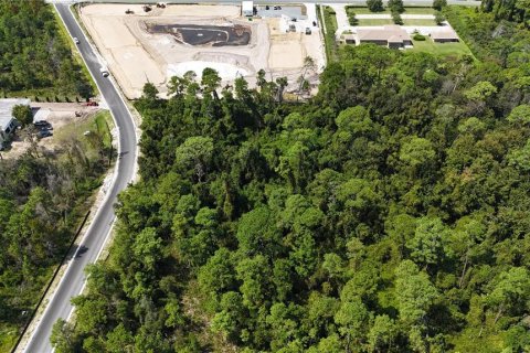 Land in Davenport, Florida № 2390986 - photo 16
